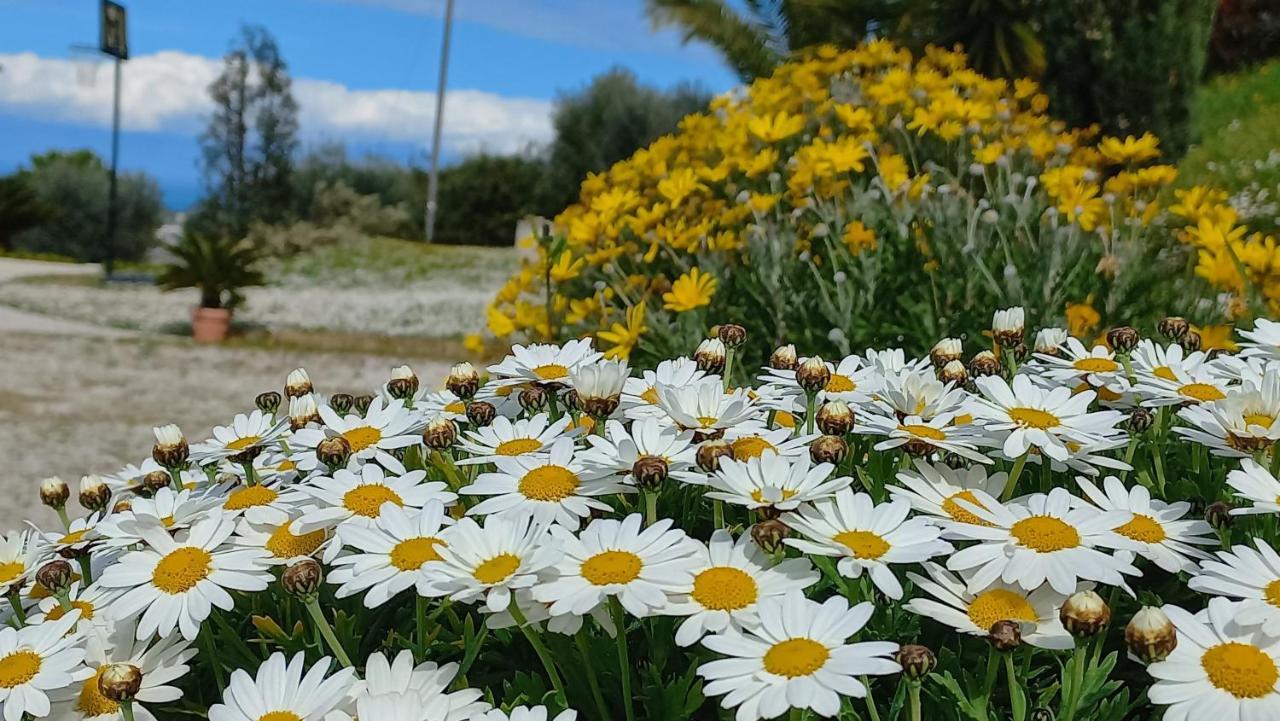 Profumo Di Campagna Bed and Breakfast Colonnella Exteriör bild